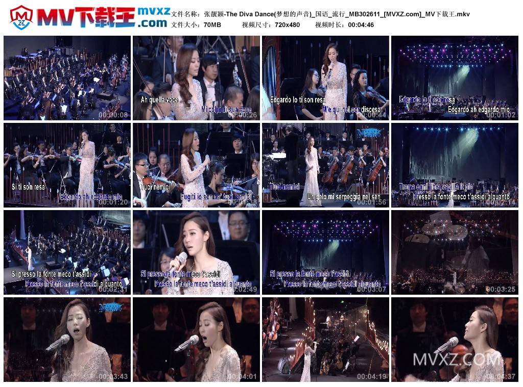 张靓颖-The Diva Dance(梦想的声音)_国语_流行_MB302611